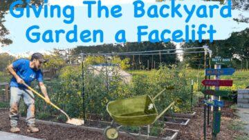 [ID: -iWe1G0hbXc] Youtube Automatic