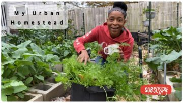 [ID: i_xBTGUASUo] Youtube Automatic