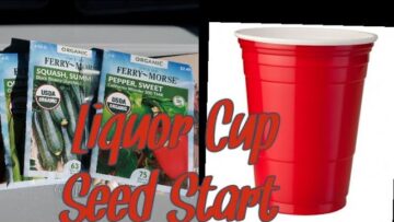 [ID: IXtPKvkbfco] Youtube Automatic