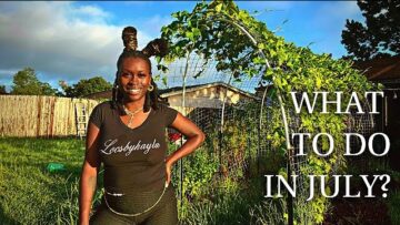 [ID: iY4AckoTx1U] Youtube Automatic