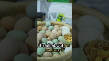 [ID: j1RCoL5IqXQ] Youtube Automatic