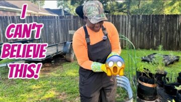 [ID: j38r6Nbyc2w] Youtube Automatic