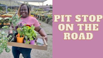 [ID: J584kewNmzA] Youtube Automatic