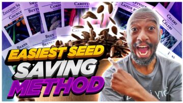 [ID: j9J2oRd9adc] Youtube Automatic