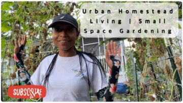 [ID: jJFf7qVxgiU] Youtube Automatic