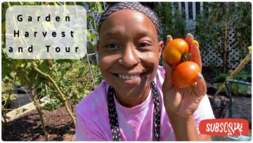 [ID: JjMzGPuIe7g] Youtube Automatic