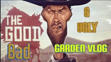 [ID: jLItYJNjZ5k] Youtube Automatic