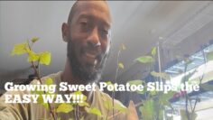 [ID: jlV5d47m56s] Youtube Automatic