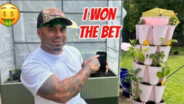 [ID: jlXhGnk6AWI] Youtube Automatic