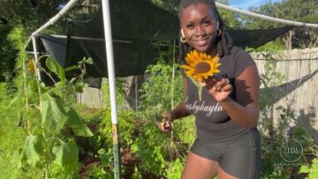 [ID: jOFNHhJ0x4I] Youtube Automatic