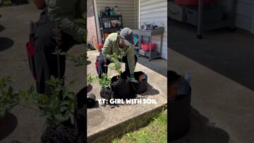 [ID: jOO_X4lh_V0] Youtube Automatic