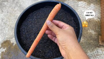 [ID: JqeQy9A8cBw] Youtube Automatic