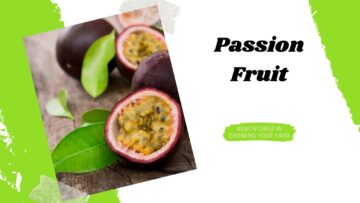 [ID: jt53rDlkmBk] Youtube Automatic