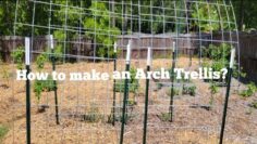 [ID: Ju8u1nuVB4c] Youtube Automatic