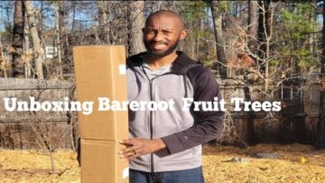 [ID: K6kKjjCcHJ0] Youtube Automatic