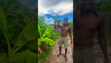 [ID: kaj4yNcctWA] Youtube Automatic