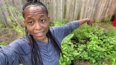 [ID: KbfCAItkaxo] Youtube Automatic