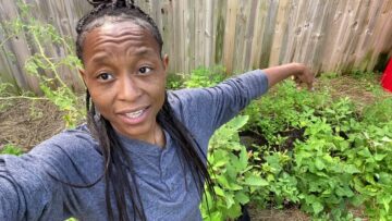 [ID: KbfCAItkaxo] Youtube Automatic