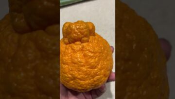 [ID: KcOTbUZLKhw] Youtube Automatic