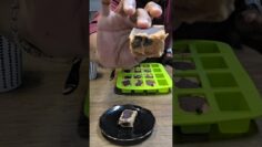 [ID: kEk5sA_uzrA] Youtube Automatic