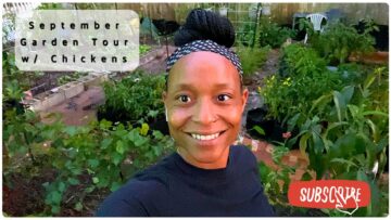 [ID: KF1LzqXnlKU] Youtube Automatic