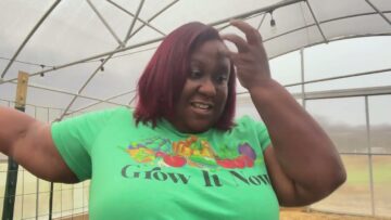 [ID: KGMu0NeJjEM] Youtube Automatic