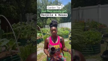 [ID: khneey1Bj7w] Youtube Automatic