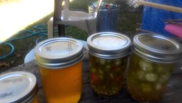 [ID: KKOw0ezYgEY] Youtube Automatic