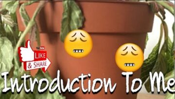 [ID: _kP9e9OZ6zw] Youtube Automatic