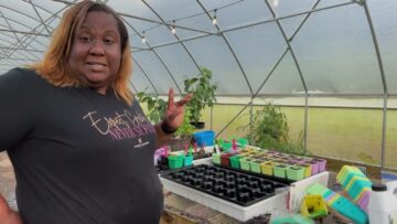 [ID: KPPgOFOe3nM] Youtube Automatic