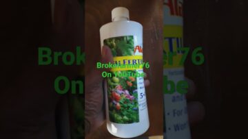 [ID: KuhktrBANUY] Youtube Automatic