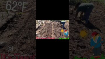 [ID: kVAK9PJB1_k] Youtube Automatic