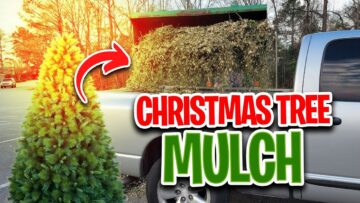 [ID: kVxe_LfLAV0] Youtube Automatic