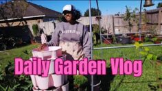 [ID: kwB7EtQvZG4] Youtube Automatic