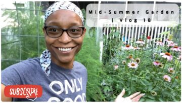 [ID: kwgvo2FAwR8] Youtube Automatic