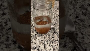 [ID: kWYkV-4gzKE] Youtube Automatic