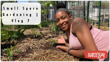 [ID: kXRcfx33eJU] Youtube Automatic