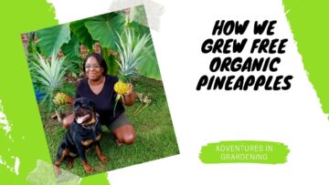 [ID: KyJWhkQahtA] Youtube Automatic