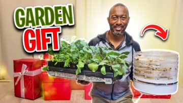 [ID: kz-AW7gp8Jo] Youtube Automatic