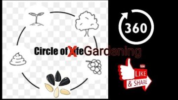 [ID: kzP7rKm7ZFY] Youtube Automatic