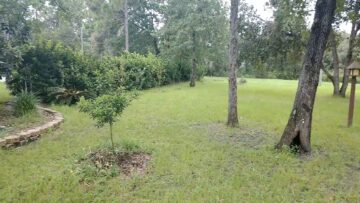 [ID: L-HcA41ZOow] Youtube Automatic