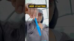 [ID: l3bTmpeDz6Y] Youtube Automatic