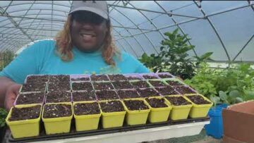 [ID: L6VWXN1xMA8] Youtube Automatic