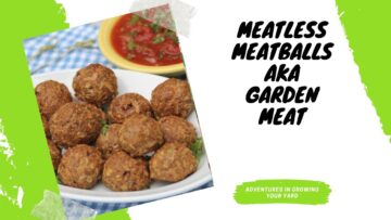 [ID: L8sTydhXscA] Youtube Automatic