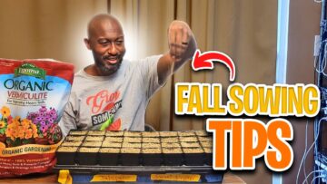 [ID: lB1qyzn50pA] Youtube Automatic