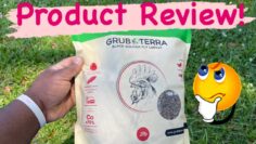 [ID: lb5pdFYM2xU] Youtube Automatic