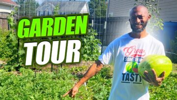 [ID: -lBNUQ1Gmmo] Youtube Automatic