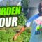 Garden Tour and Harvest in Summer