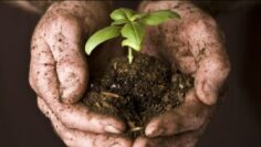 [ID: Lfl7RZWiSNw] Youtube Automatic