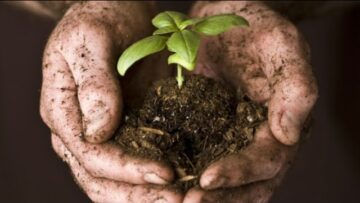 [ID: Lfl7RZWiSNw] Youtube Automatic